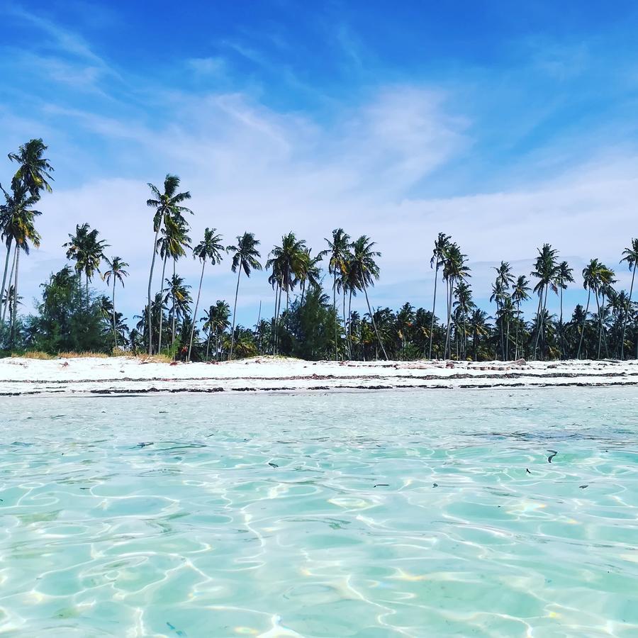 Hotel Kae Funk Zanzibar Michamvi Exteriér fotografie