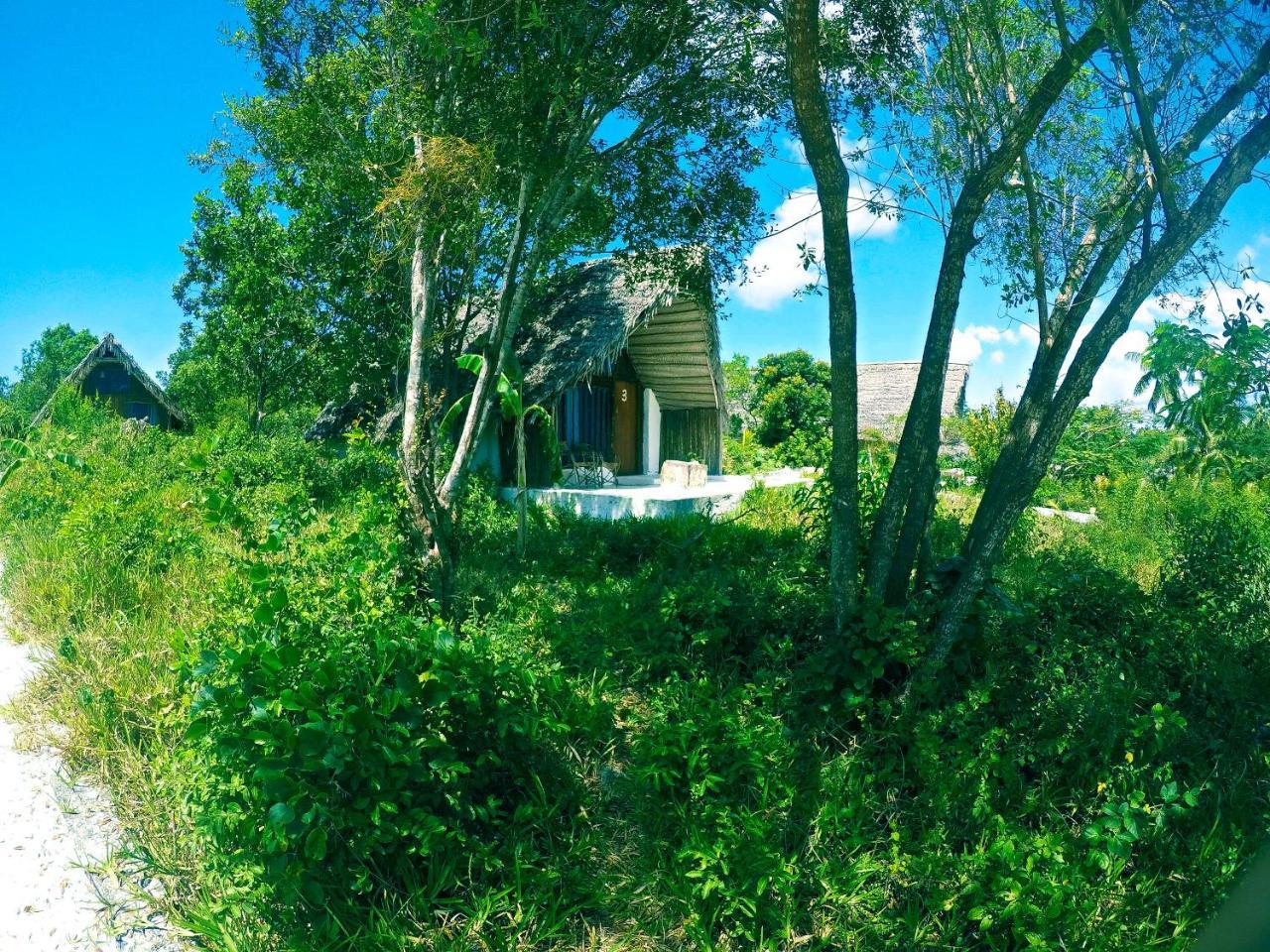 Hotel Kae Funk Zanzibar Michamvi Exteriér fotografie